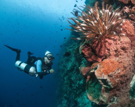 Exploring the Benefits of Sidemount Diving at Siladen