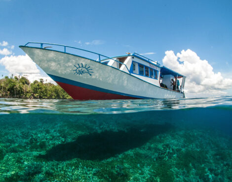 Introducing Siladen 14: The Perfect Dive Boat for Remote Adventures